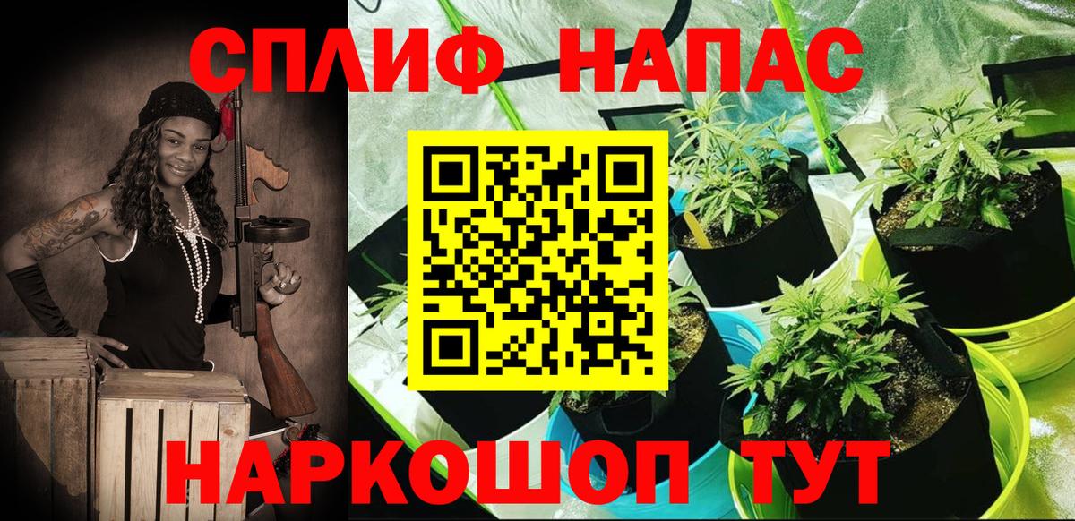 Воронеж  Каннабис SATIVA & INDICA  Вход с VPN  Бошки марихуана марихуана 